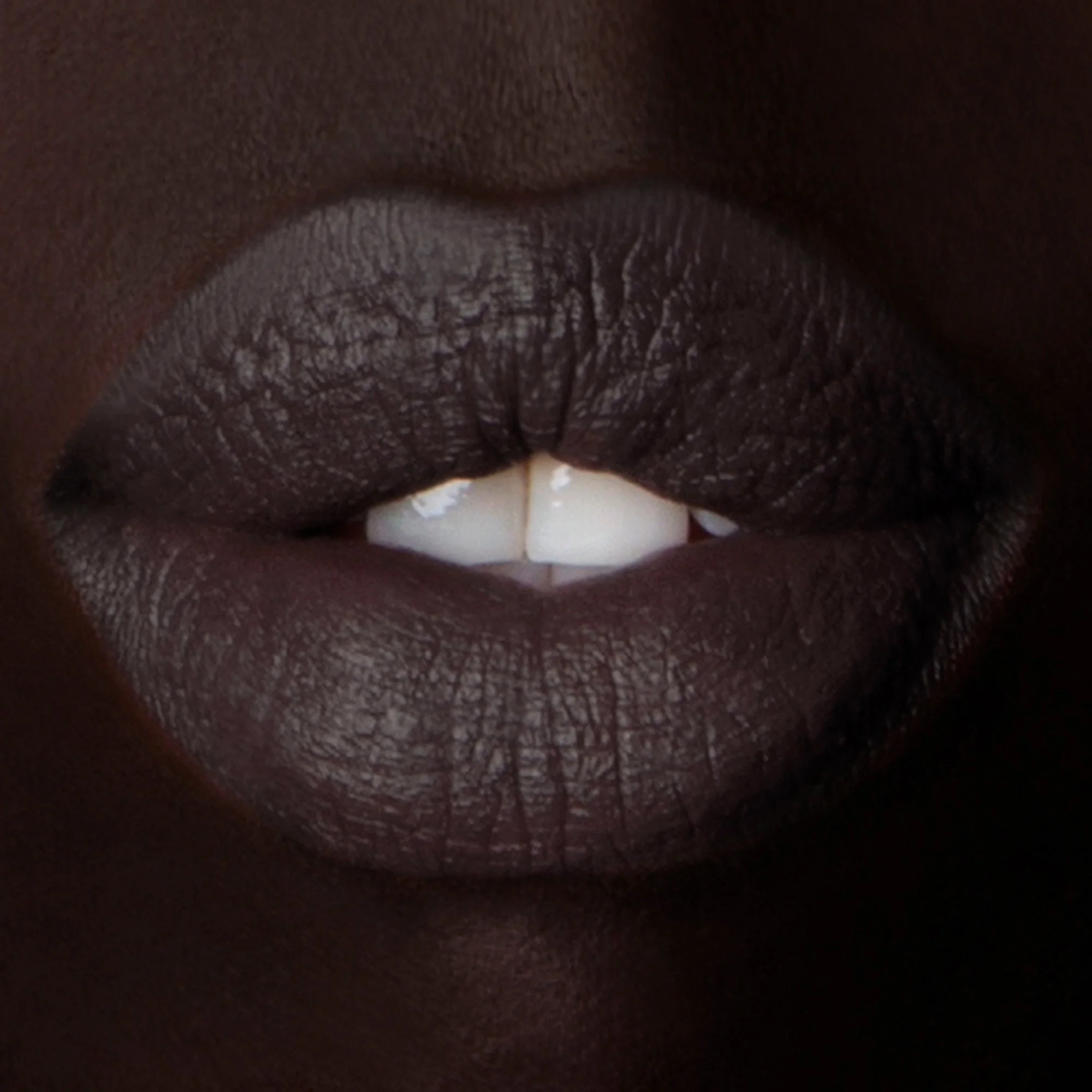 Color Set: Eventide - Image 13