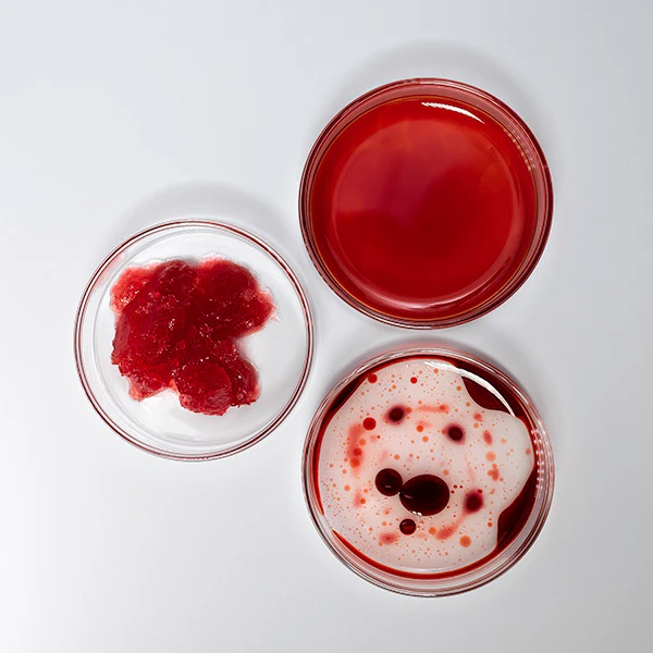 Thorn Potions Complete Skincare Collection (4 Piece Set) - Image 2